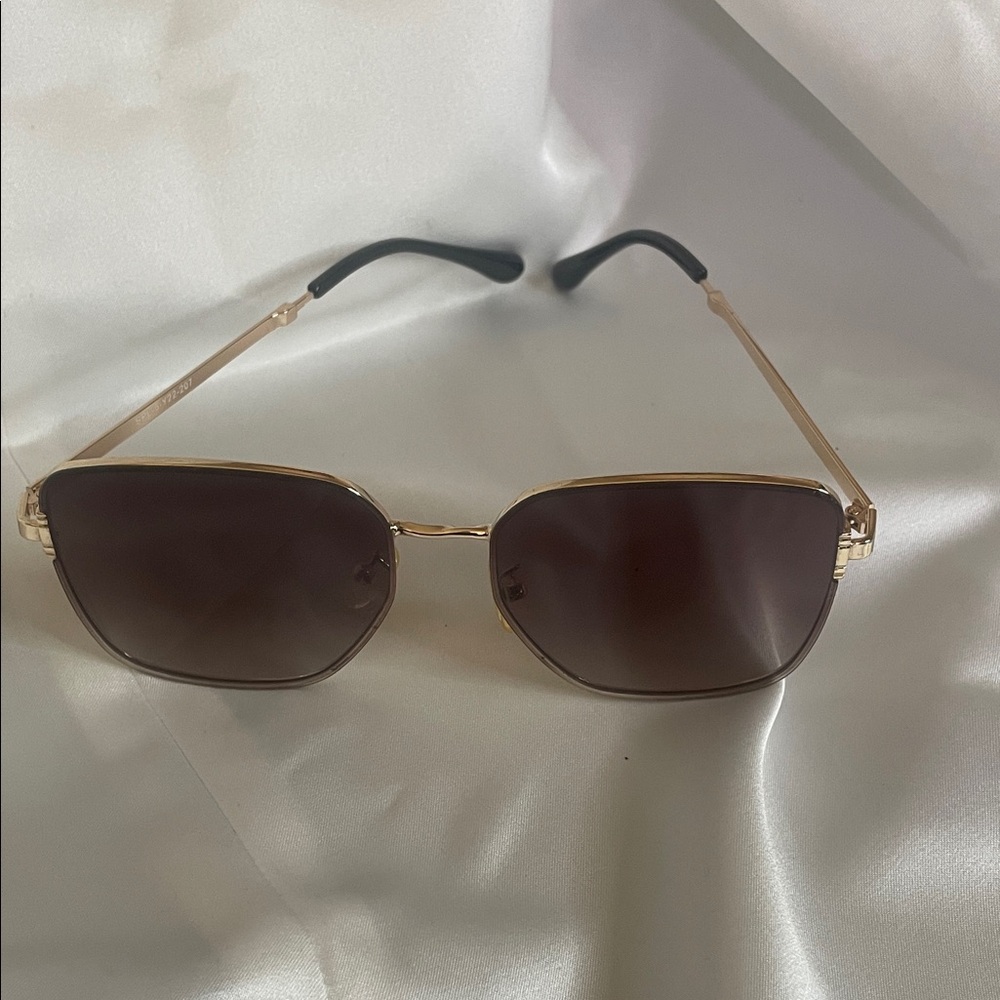 South Pole Gold Frame Sunglasses with Brown Lenses and Black Temple Tips